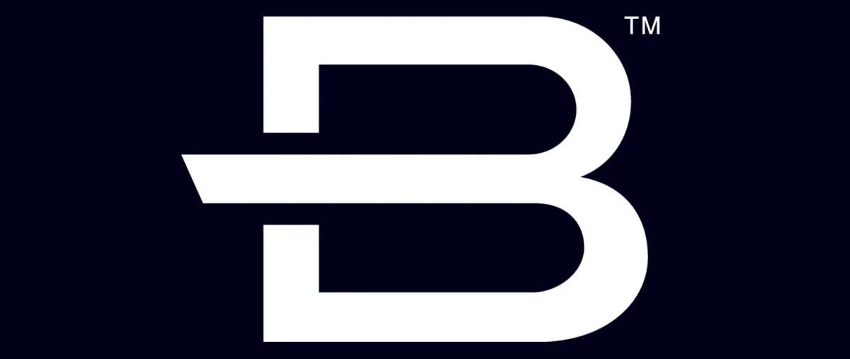 Aine Denari Named Next Brunswick CEO From January 2027 — verified source image