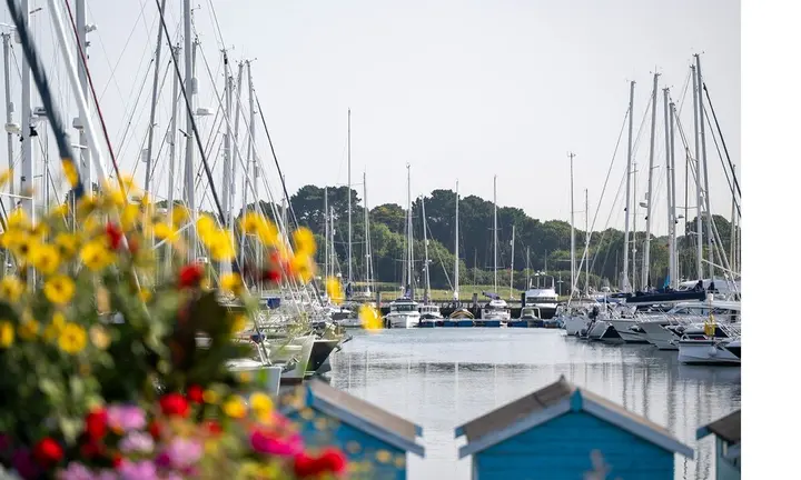 Lymington Yacht Haven Adds Western Solent Live Webcam — official British Marine image