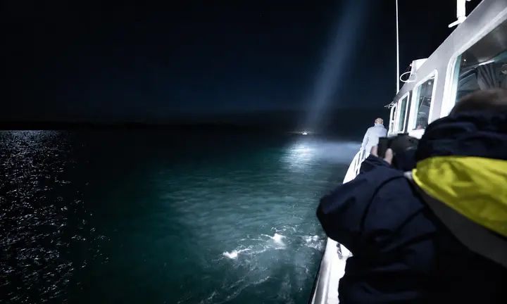 SEA.AI Sentry and Carlisle & Finch SmartVIEW searchlight integration | Official source: https://www.pressmare.it/en/services/seaal/2026-09-24/links-ai-detection-searchlights-follow-person-overboard-92921