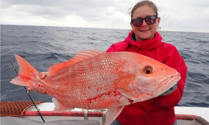 Official NOAA Fisheries red snapper photograph | Florida Atlantic Red Snapper Trial Ends as Gulf Private-Boat Weekend Continues