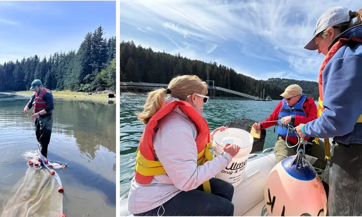 NOAA NCCOS and Office of Response and Restoration — field scientists deploying mesocosm equipment in Alaska, 2026