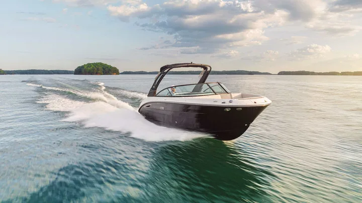 SDX 250 — official Sea Ray Boats image