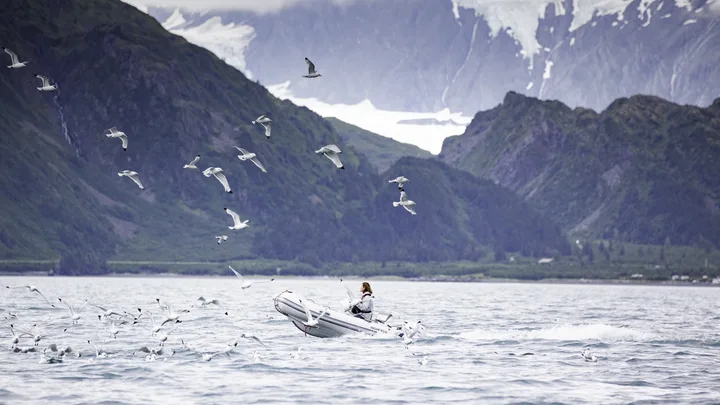 Classic 340 — official Highfield Boats image