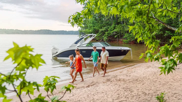 SDX 250 Outboard — official Sea Ray Boats image