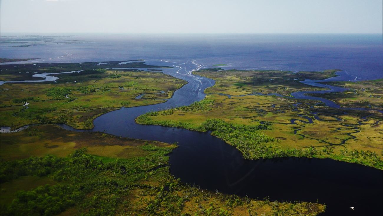 U.S. Fish and Wildlife Service public-domain aerial photograph of the Suwannee River South Pass by Larry A. Woodward