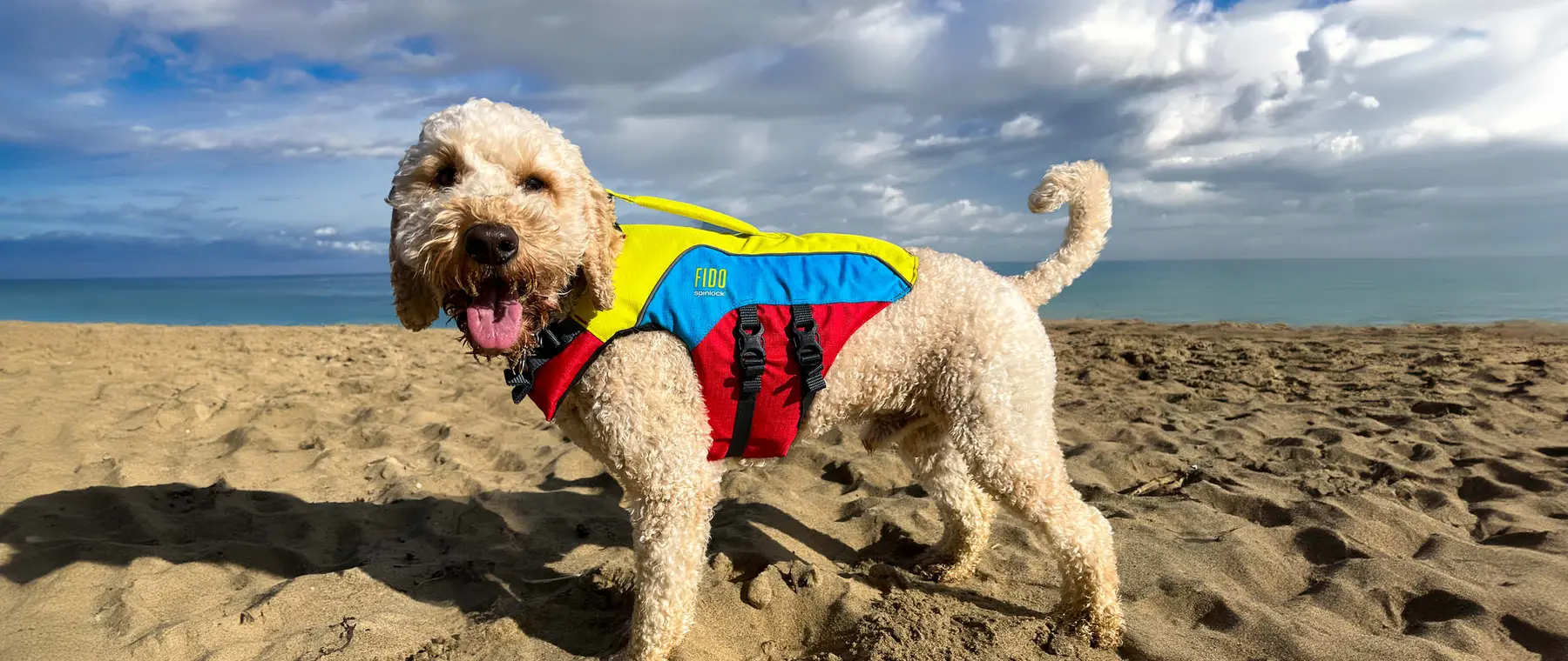 Official Spinlock FIDO dog flotation aid image